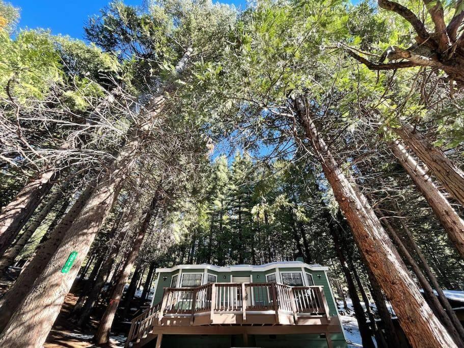 Cedar Oasis - Home Base To Big Trees อาร์โนลด์ ภายนอก รูปภาพ
